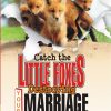 CATCH THE LITTLE FOXES DESTROYING YOUR MARRIAGE