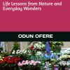 The Living Classroom: Life Lessons from Nature and Everyday Wonders