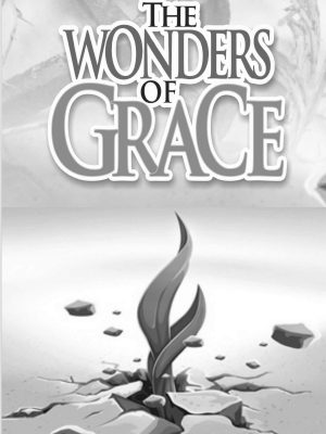 THE WONDERS OF GRACE