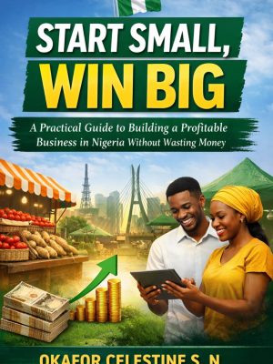 Start Small, Win Big: A Practical Guide to Building a Profitable Business in Nigeria Without Wasting Money