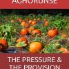 THE PRESSURE & THE PROVISION (How God Trains, Aligns, and Breaks Through in Financially Tight Seasons)