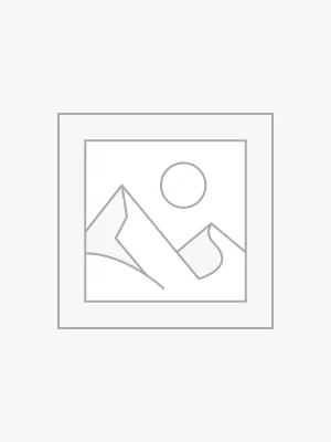woocommerce-placeholder A PRACTICAL APPROACH TO E-BOOK PUBLISHING
